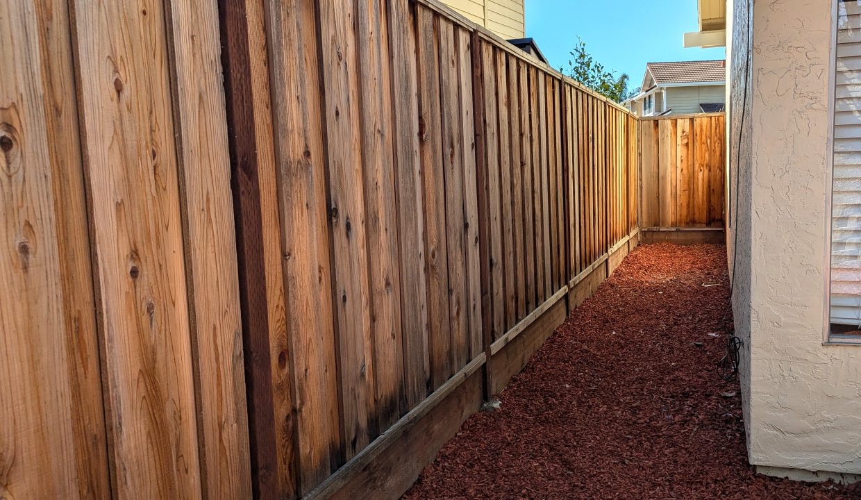 backyard2-3